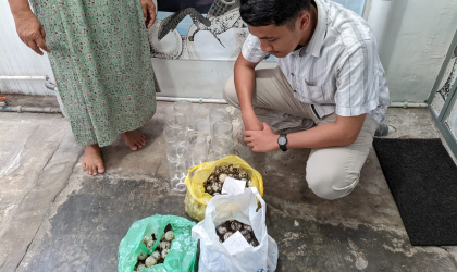 Menemukan Penyu Bertelur di Pantai Glondong