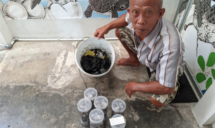 Menemukan Penyu Bertelur di Pantai Boom