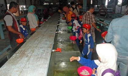 Sosialisasi Kepada Murid TK Saba School