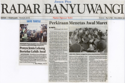 Penyu Bertelur di Pantai Boom 1