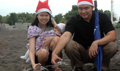 Pelepasliaran Tukik Memperingati Hari Natal