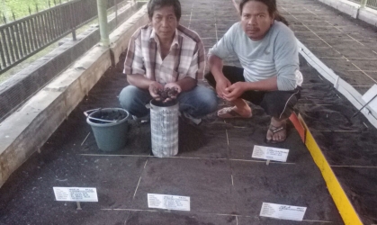 Menemukan Penyu Bertelur di Pantai Santen