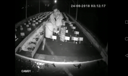 Menemukan Penyu Bertelur di Pantai Boom